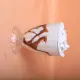 Vanilla Shake