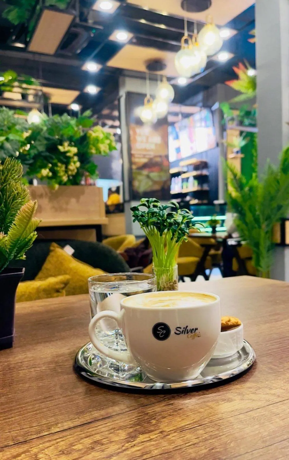 Silver Coffee Shibis
