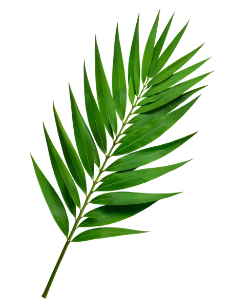 Decorative leaf